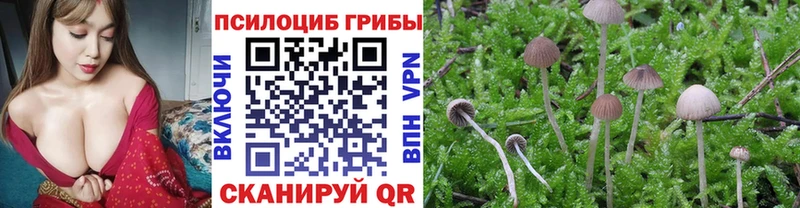 купить  сайты  Нефтеюганск  Галлюциногенные грибы ЛСД 
